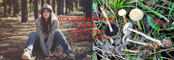 бутират Зерноград