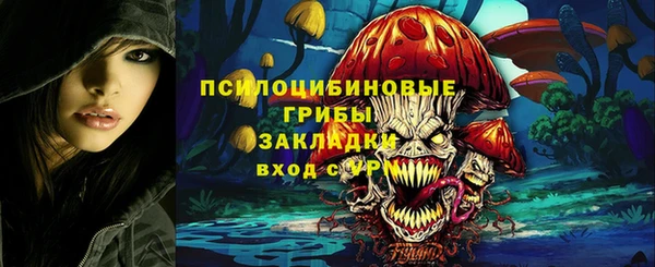 ешки Зеленокумск