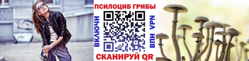 Псилоцибиновые грибы Psilocybine cubensis  Купить  Короча 