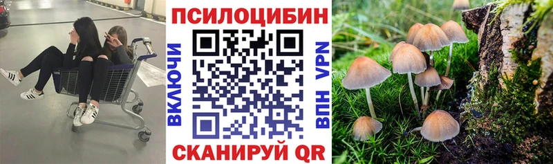 Галлюциногенные грибы Psilocybine cubensis Короча